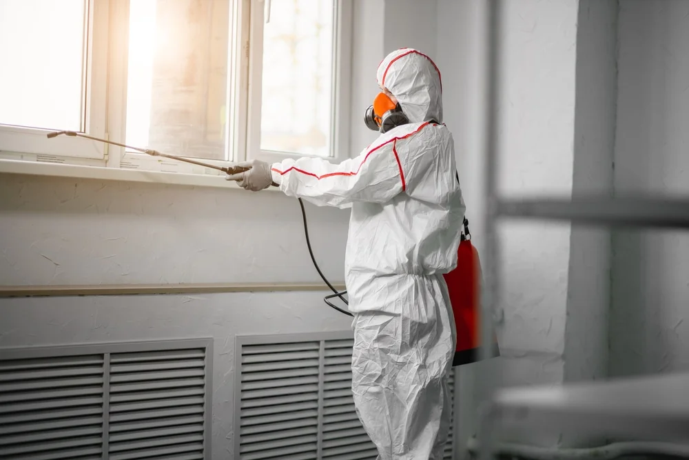 Professional mold remediation services in Clarendon, AR